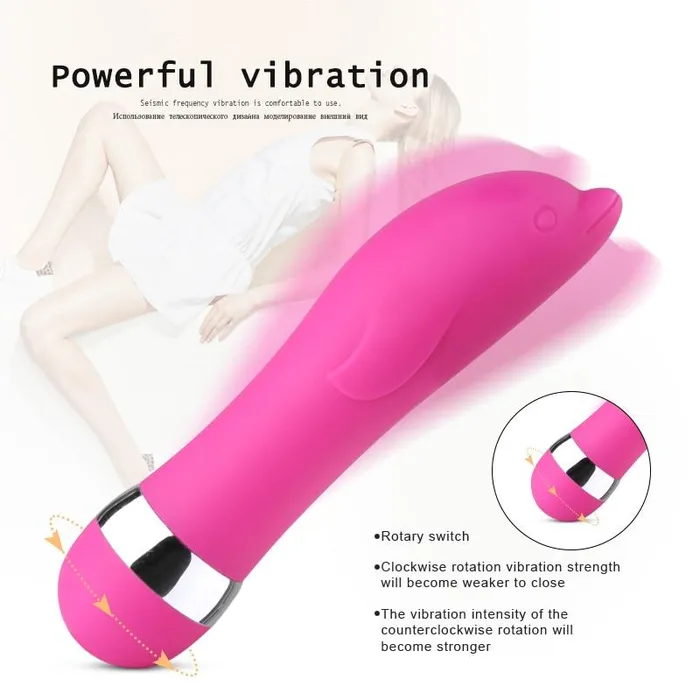 Lusty Age Female Sex Toys Realistic Dildo Bullet Vibrator