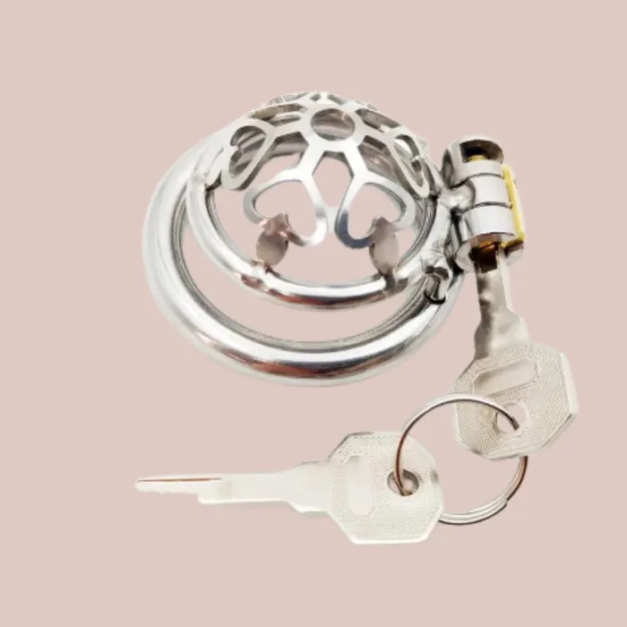 House of Chastity Male Sex Toys Cage Of Hearts Chastity Cage