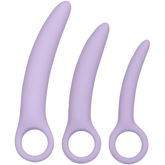 CalExotics Anal Cal Exotics Dr Laura Berman Alena Set of 3 Silicone Dilators Purple
