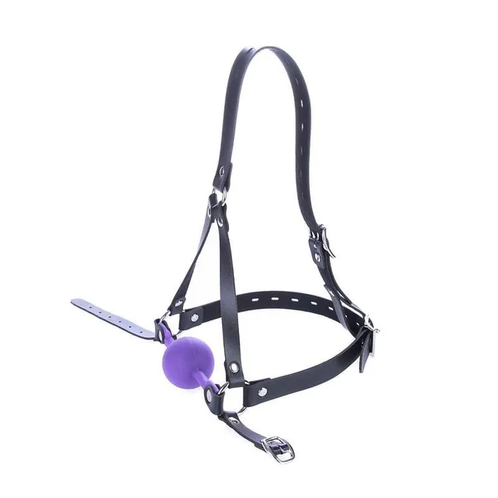 Vibrators Lovegasm Restrictive Purple Ball Gag
